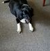 Susan Lape - Facebook
