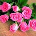 Susan Lapinski - Facebook