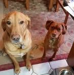 Susan Lapinski - Facebook