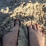 Susan Fissette LaPointe - @fissettelapointe - Instagram