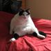 Susan Lapointe - Facebook