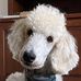 Susan LaPointe - Facebook