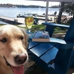 Susan Lapointe - @lapointesueque - Instagram