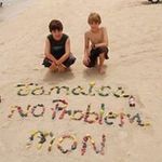 Susan Wood LaPointe - @woodlapointe - Instagram