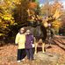 Susan Large - Facebook