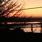 Susan Larimore - @moonbeam496 - Instagram