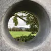 Susan Laste - @susanlaste - TikTok