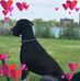 SusanandBill Lathan - Facebook