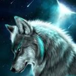 Susan Hammer Latimer - @wolfma14 - Instagram