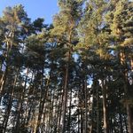 Susan Latimer - @latimer.susan - Instagram