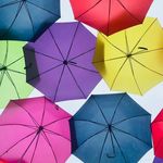 Susan Sheegog Latimer - @susan.s.latimer - Instagram