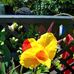 Susan Luterbach - Facebook
