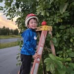 Susan Lavery - @susanlavery70 - Instagram