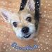 Sue Laverty - Facebook