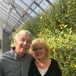 Susan Laverty - @dansusan3459 - Instagram