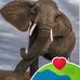 Susan Laverty - Facebook