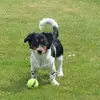 Susan Laverty - @susan.laverty7 - TikTok