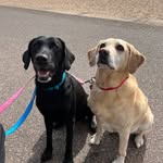 Susan Lay - @sue99_48 - Instagram