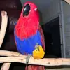 Susan Ladymon - @susan.ladymon - TikTok