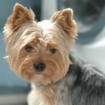 Susana Lazcano - @susana.lazcano.7140 - Instagram