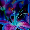 Susana lazcano - @susana.lazcano59 - TikTok
