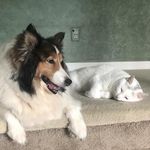 Susan LeDuc Santos - @ssantos0006 - Instagram