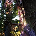 Susan Legrand - @susan.legrand - Instagram