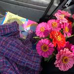 Susan LeGrand Brown - @susanlegrand.a - Instagram