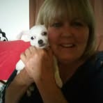 Susan Leininger - Facebook