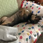 Susan LeMasters - @susan.lemasters - Instagram