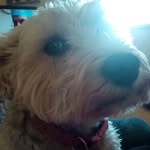 Susan LeMasters - @susanlemasters - Instagram