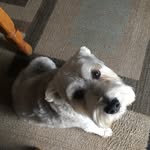 Susanlemasters - @susan_lemasters - Instagram