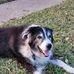 Susan Lemons - Facebook