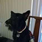Susan Lenz - @lenz_susan - Instagram