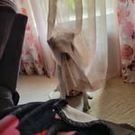 Susan Lenz Cimini - @cimini349 - Instagram