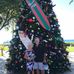 Susan Bernardi-LeStrange - Facebook