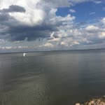 Susan Levenstein - @osusannah1 - Instagram