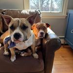 Susan Feole Levesque - @susanlev - Instagram