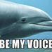 Susan Levesque - Facebook