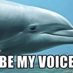 Susan Levesque - @babydolphin29 - Instagram