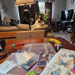 Susan Levesque - @whitelily1960 - Instagram