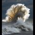 Susan Levesque - Facebook