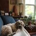 Susan Levesque - Facebook