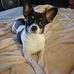 Susan Levesque - Facebook