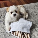 Susan Levesque - @susan.levesque.758 - Instagram
