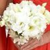Susan Levitt - Facebook