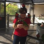 Susan Levitt - @truefriendsrblessings - Instagram