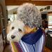 Susan Levitt - Facebook