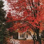 Susan Carr Liechty - @liechtysusan - Instagram