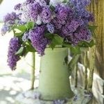 Susan Liechty Christian - @susan.lchristian - Instagram